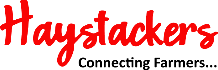 Haystackers Haystackers